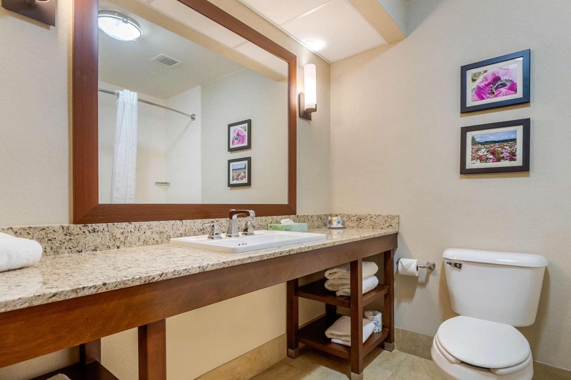Comfort Suites Gastonia - Charlotte Luaran gambar